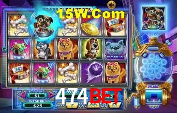 Security Systems 474Bet